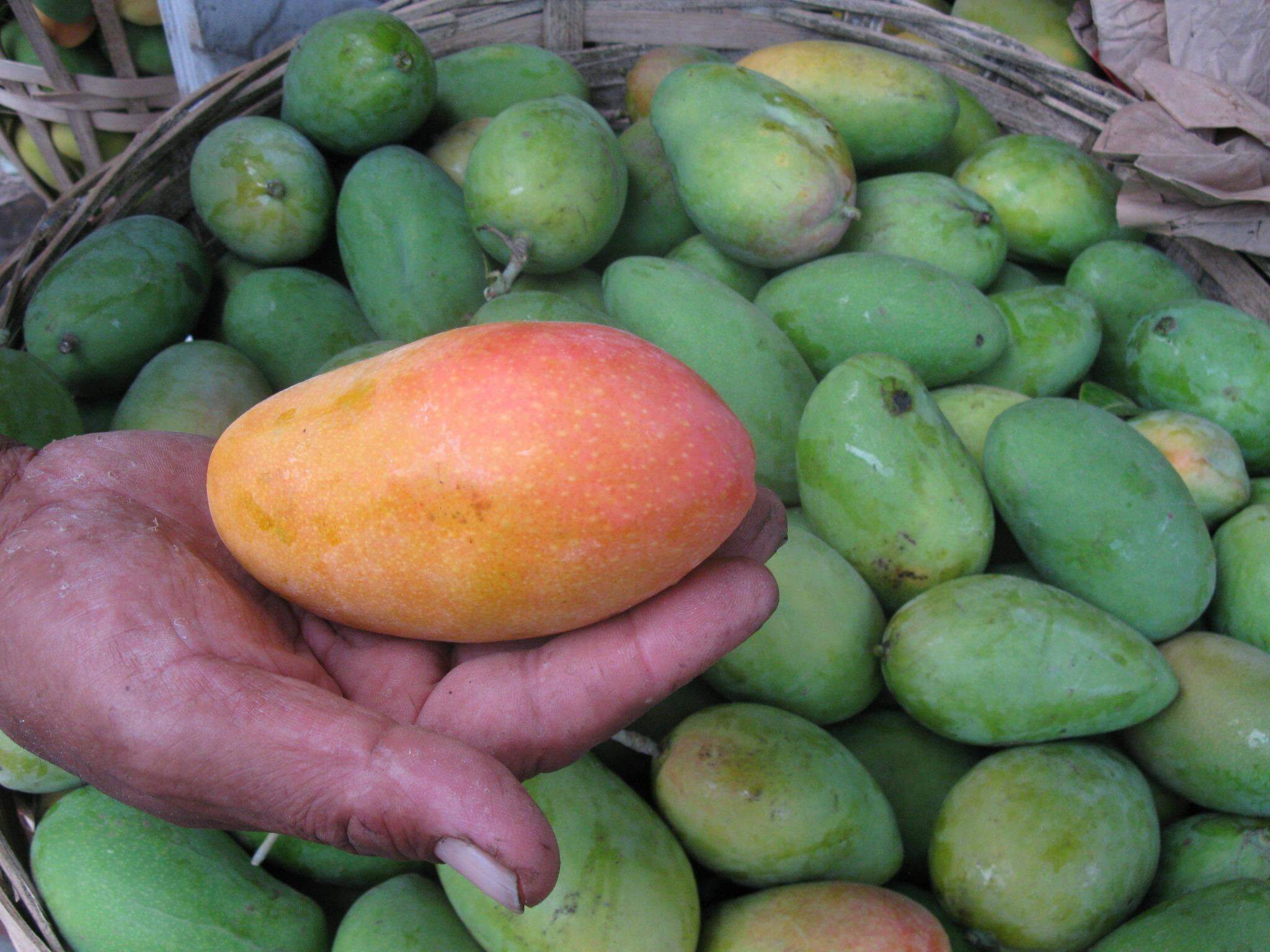 Javabite Snacks